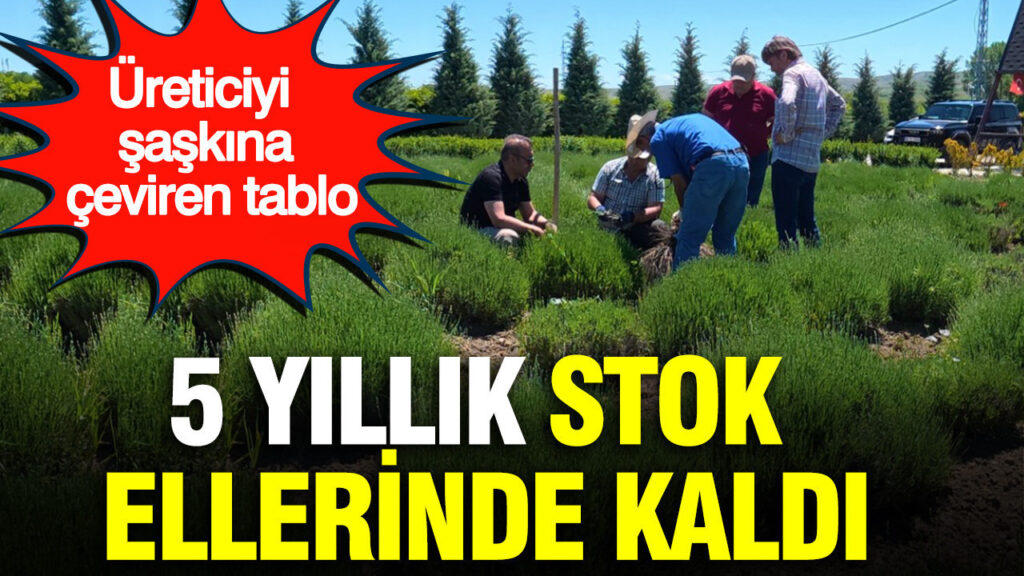 haber-gorseli-1787054811168